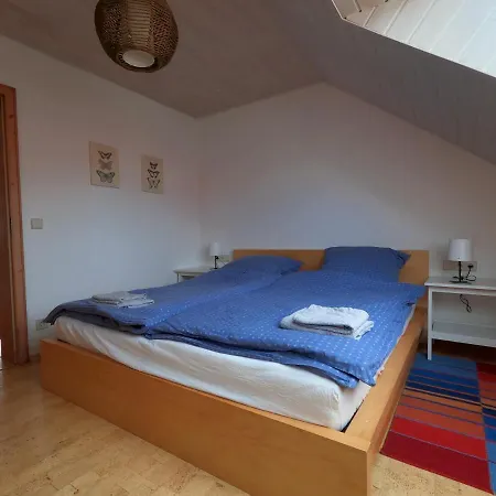 Apartment Mit Dachterrasse Achberg