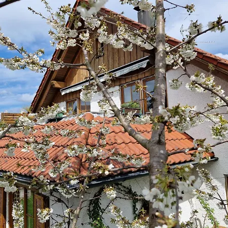Apartment Mit Dachterrasse Achberg